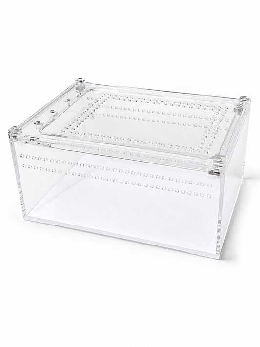 Acrylic reptile display box - white background