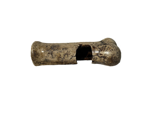 Bone Reptile Hide Decoration - White Bg