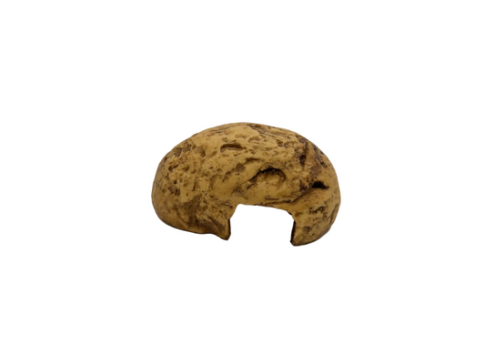 Resin Rock Hide White Background 604
