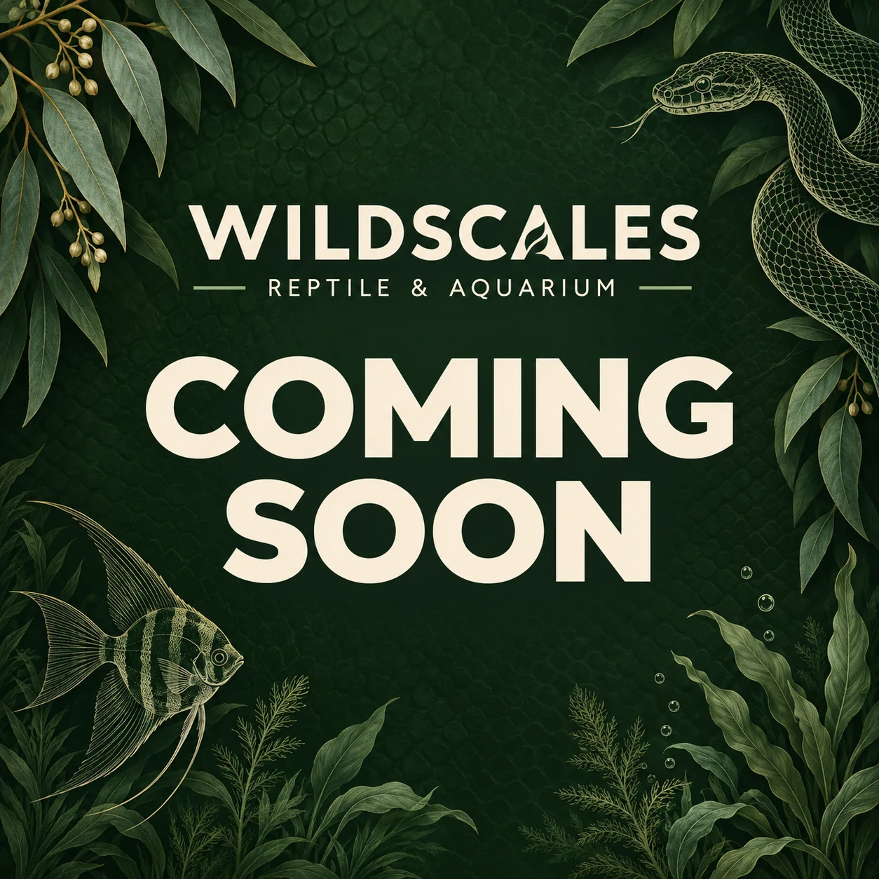 WildScales Reptile & Aquarium — Coming soon
