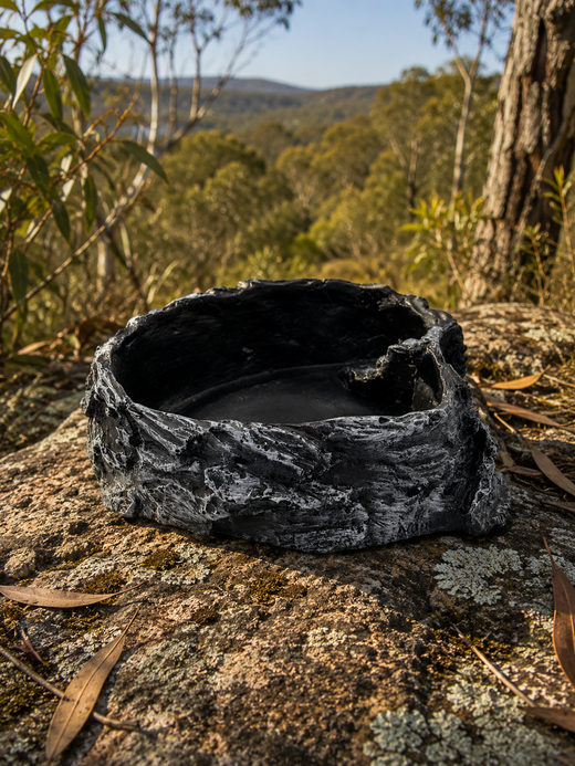 Reptile Water Bowls