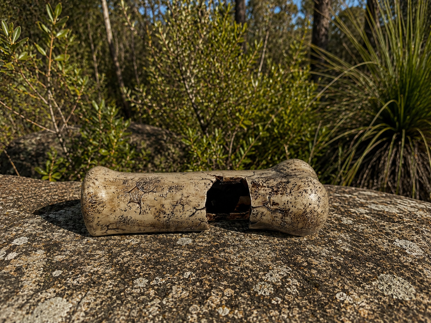 Bone Reptile Hide Decoration - Bush Bg