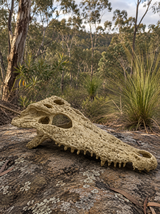 Crocodile Skull Bush Bg