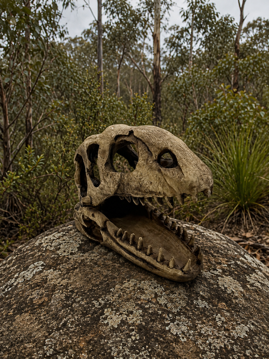 Dinosaur Skull Decoration Bush BG
