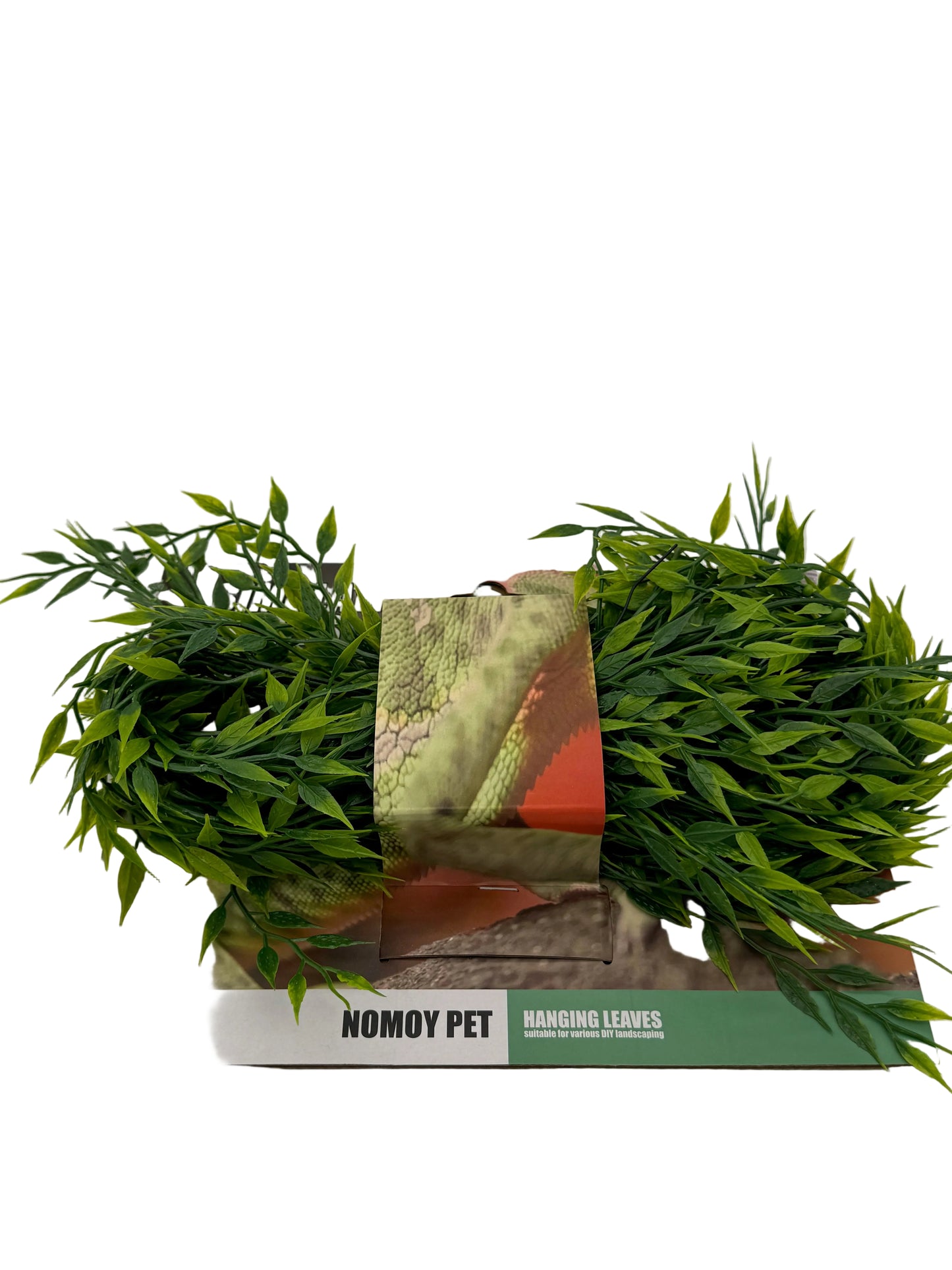 Fake Reptile Spring Herald Leaf Plant Decor White Background