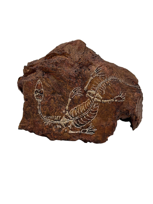 Fossil Hide Cave