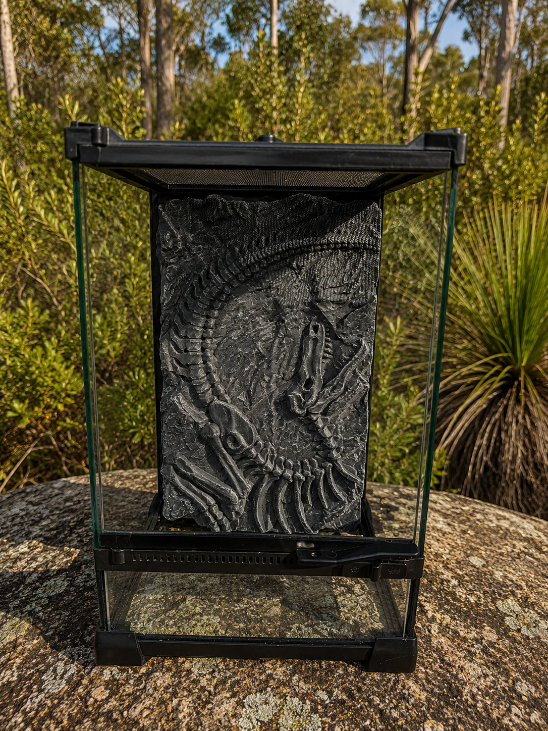 Glass Reptile enclosure 3D background - Bush Background