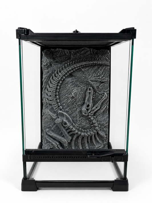 Glass Reptile enclosure 3D background - White Background