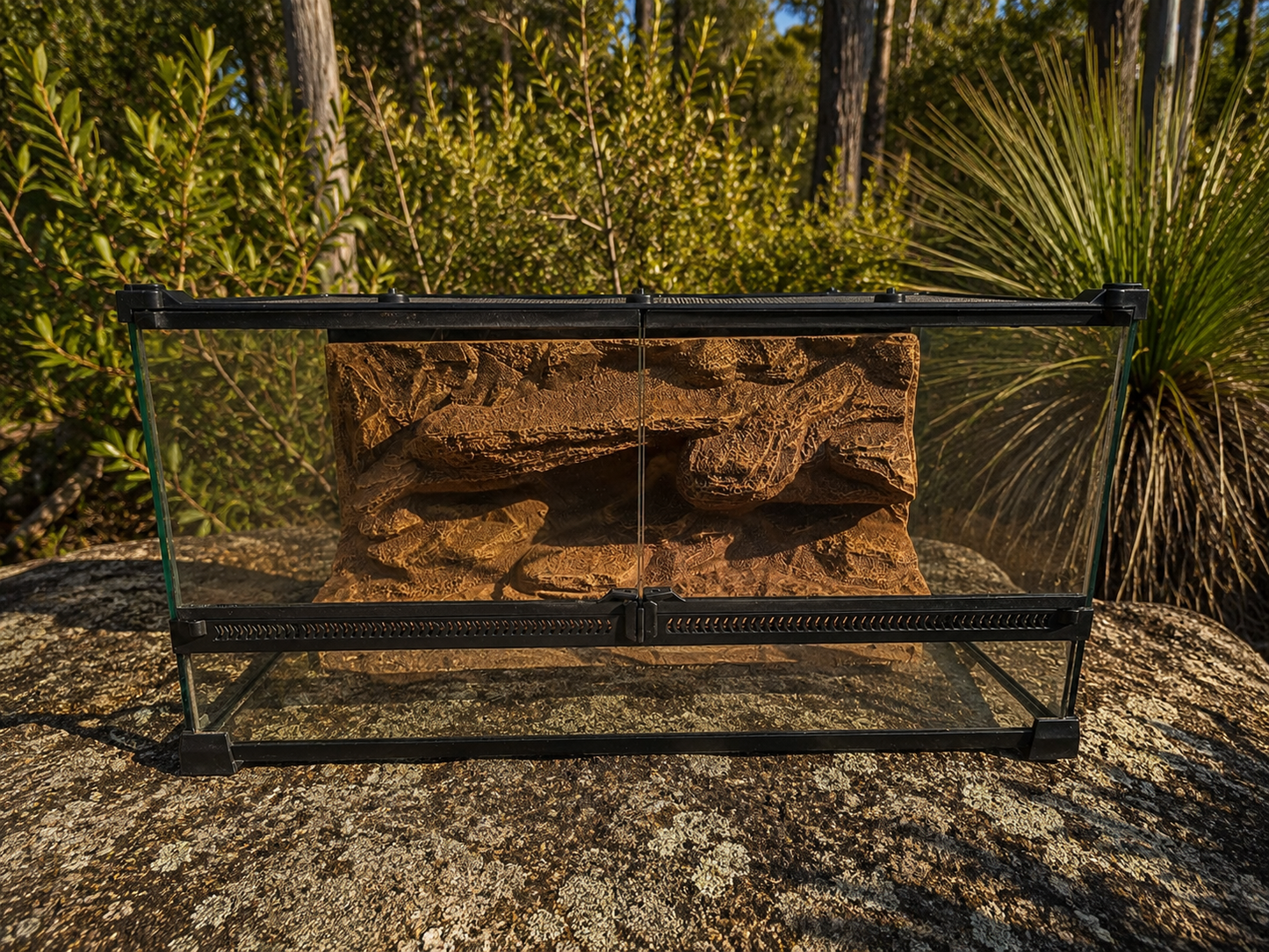 Glass Reptile enclosure rock 3D background - Bush Background