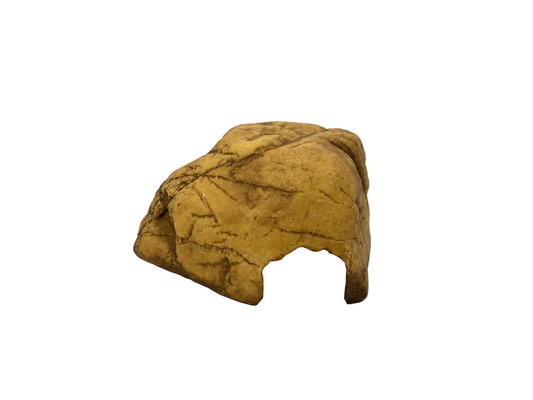 Reptile Rock Hide White Background