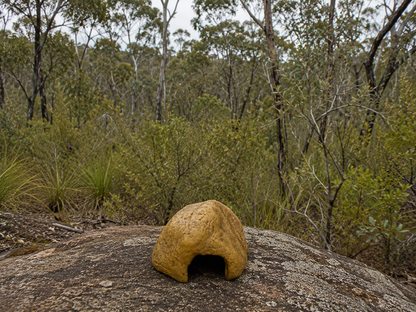 Small Resin Rock Hide Bush Background 603