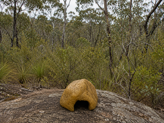 Small Resin Rock Hide Bush Background 603