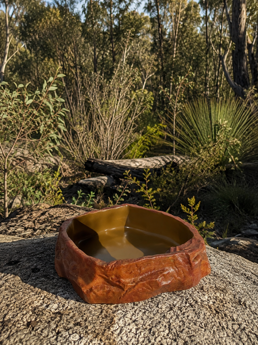Water Bowl - Reptile Water Bowl Bush Bg