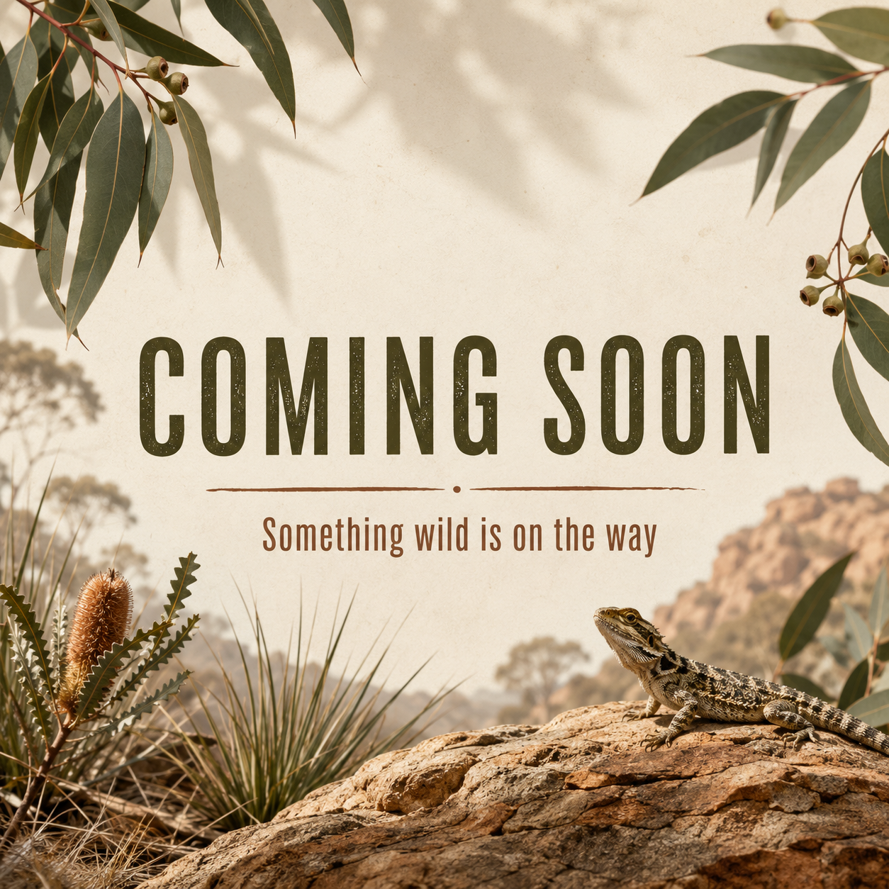 WildScales Coming Soon Product Image Placeholder