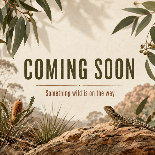 WildScales Coming Soon Product Image Placeholder