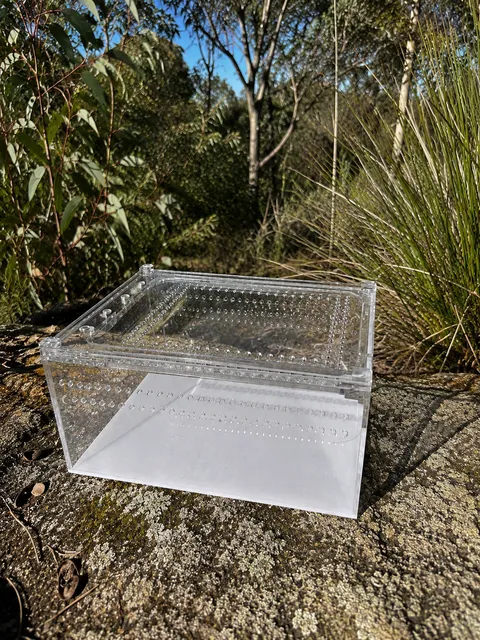 Acrylic reptile display box - bush background