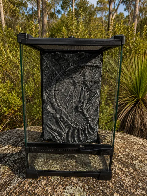 Glass Reptile enclosure 3D background - Bush Background