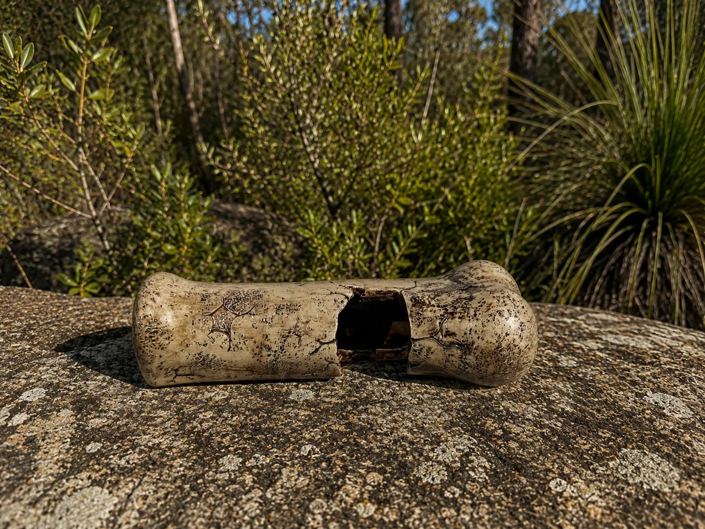 Bone Reptile Hide Decoration - Bush Bg
