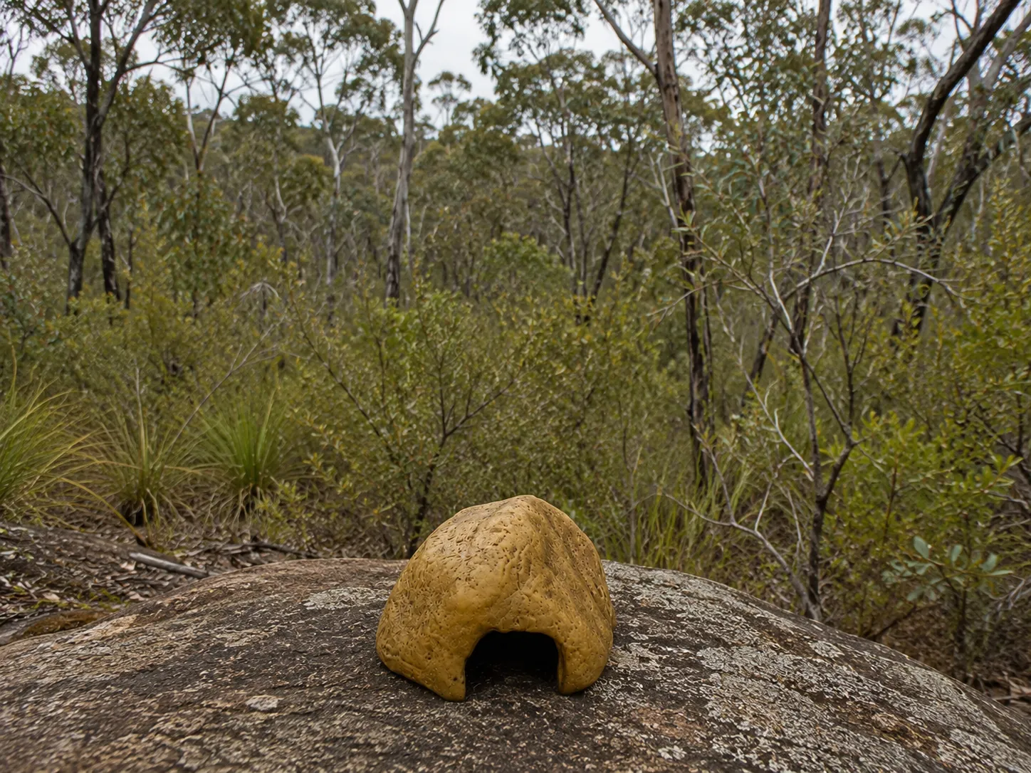 Small Resin Rock Hide Bush Background 603