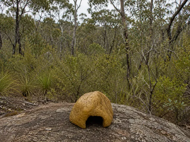 Small Resin Rock Hide Bush Background 603